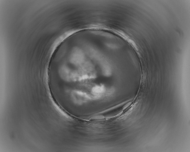 X0000111901239200908101134