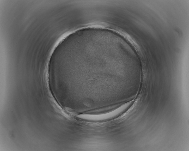 X0000111901240200908101134