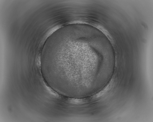 X0000111901241200908101134