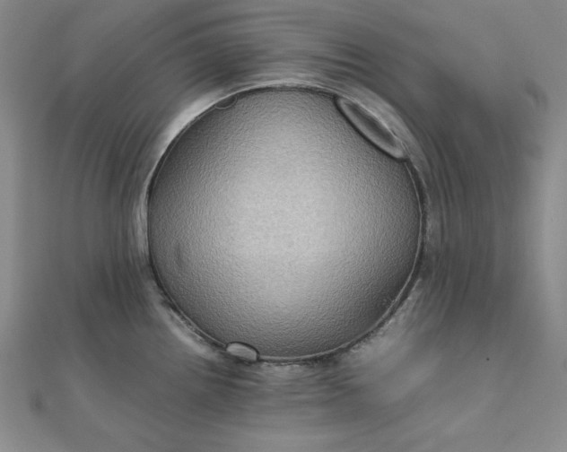 X0000111901242200908101134