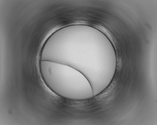 X0000111901243200908101134