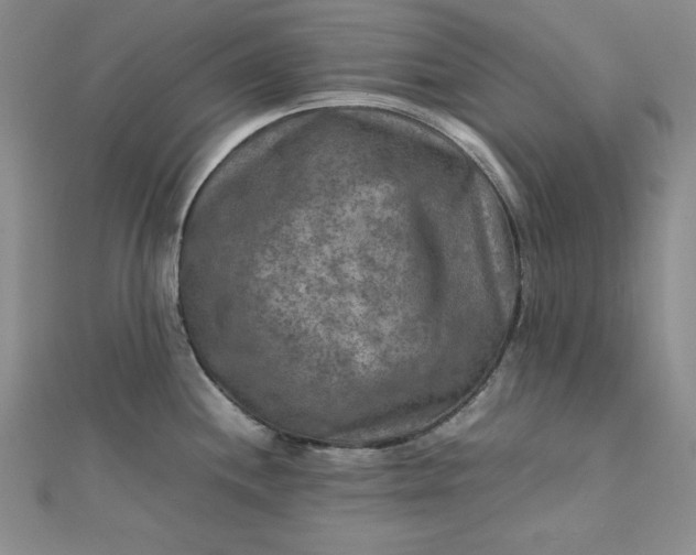 X0000111901244200908101134