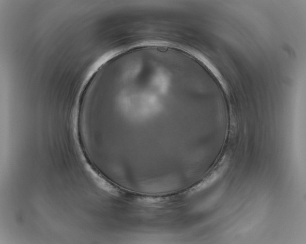 X0000111901245200908101134