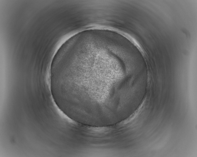 X0000111901247200908101134