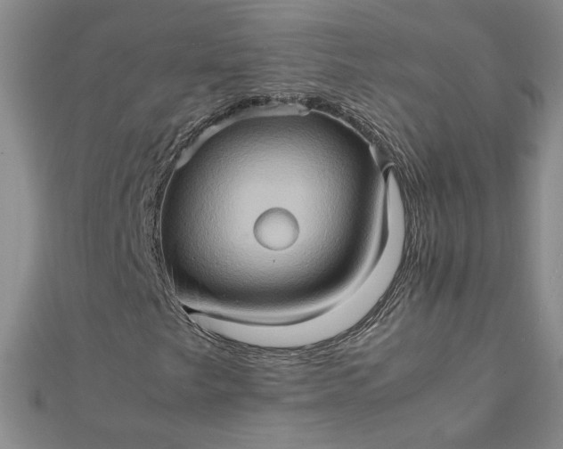 X0000111901249200908101133