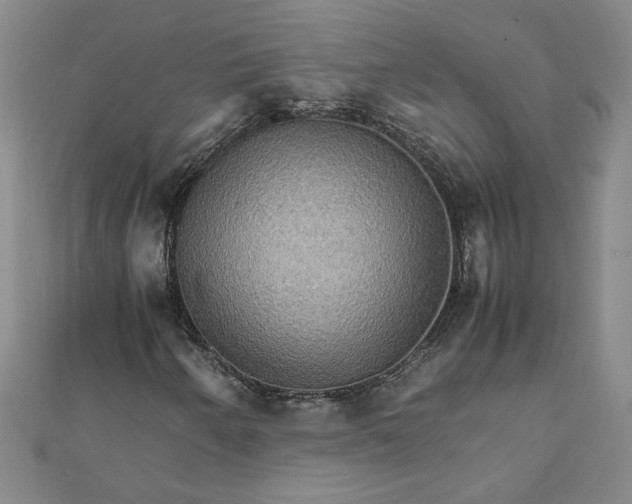 X0000111901250200908101133