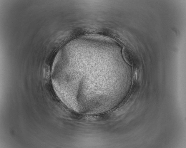 X0000111901251200908101133