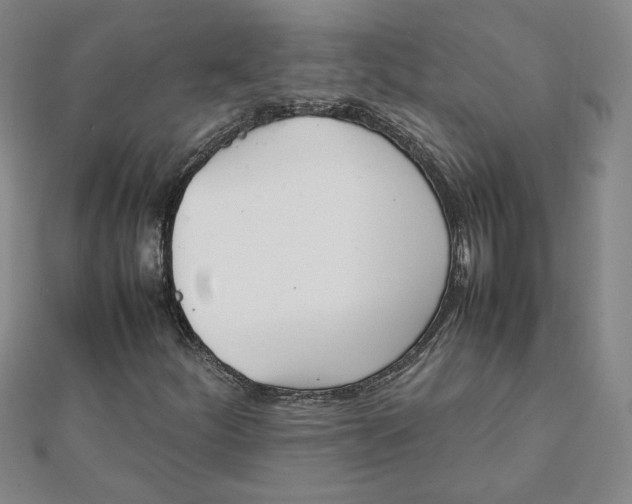 X0000111901252200908101133