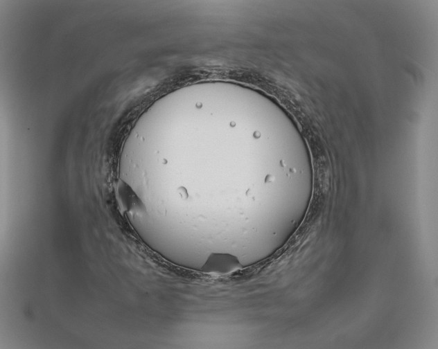 X0000111901253200908101133