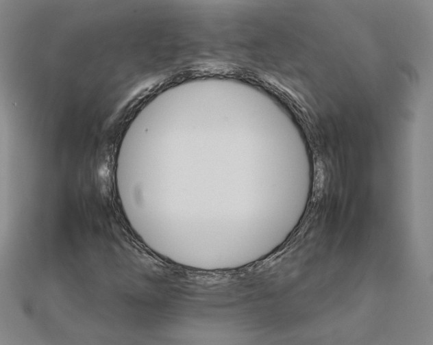 X0000111901254200908101133