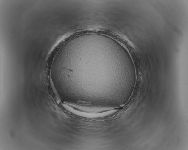 X0000111901256200908101133