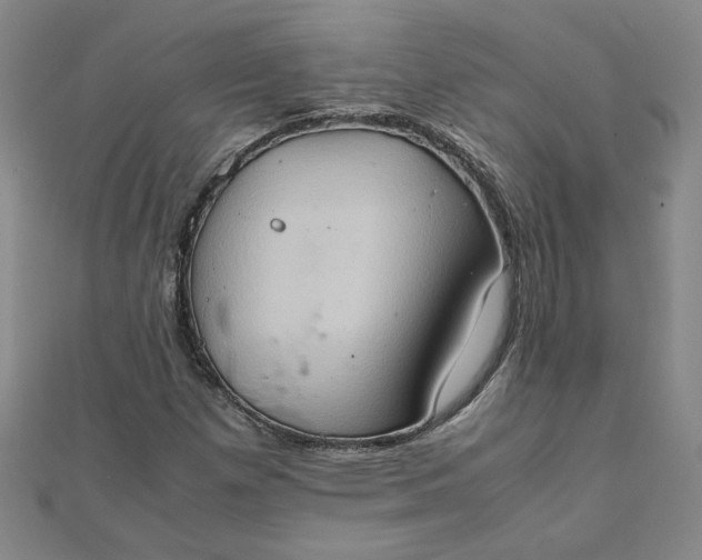 X0000111901257200908101133