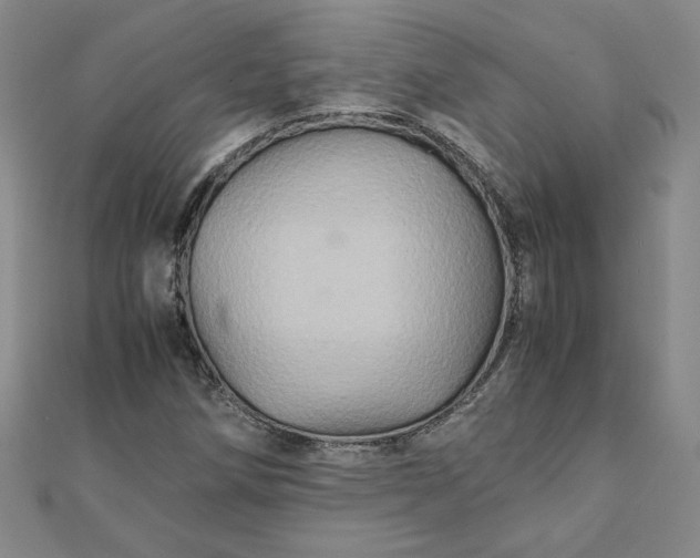 X0000111901258200908101133