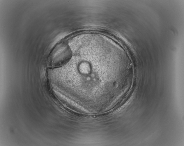 X0000111901259200908101133