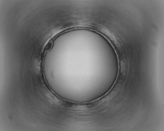 X0000111901260200908101133