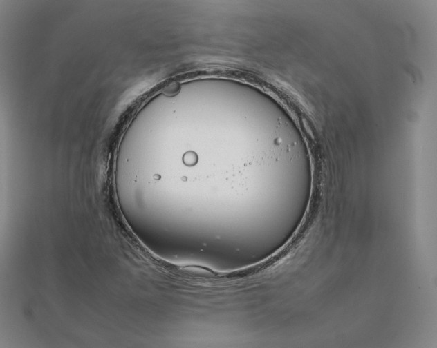 X0000111901261200908101133