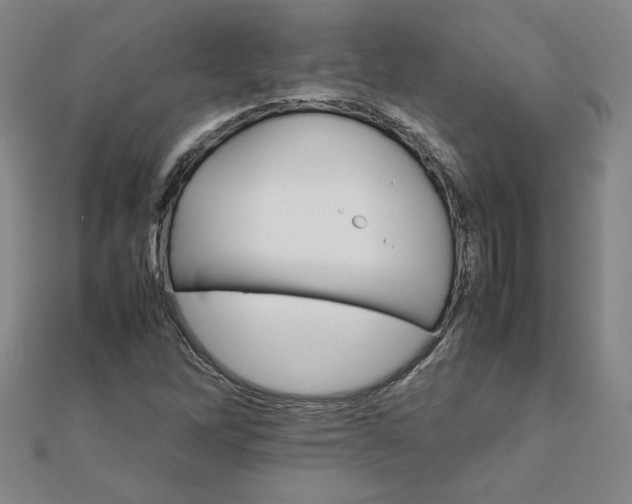 X0000111901262200908101133