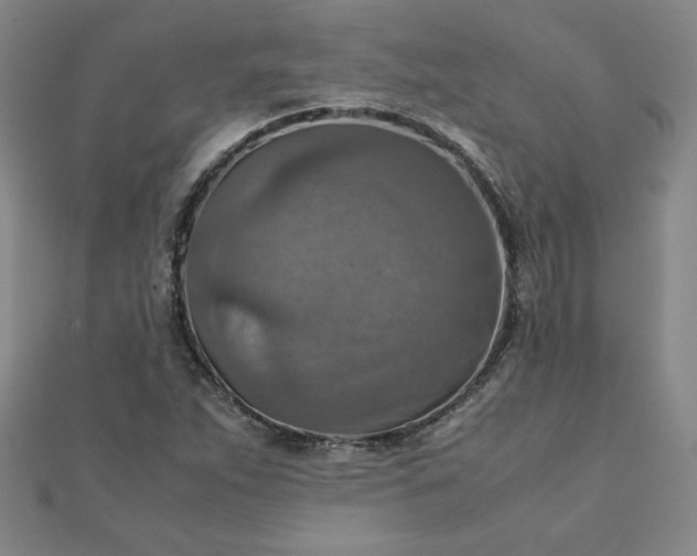 X0000111901263200908101133