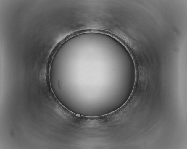 X0000111901264200908101133