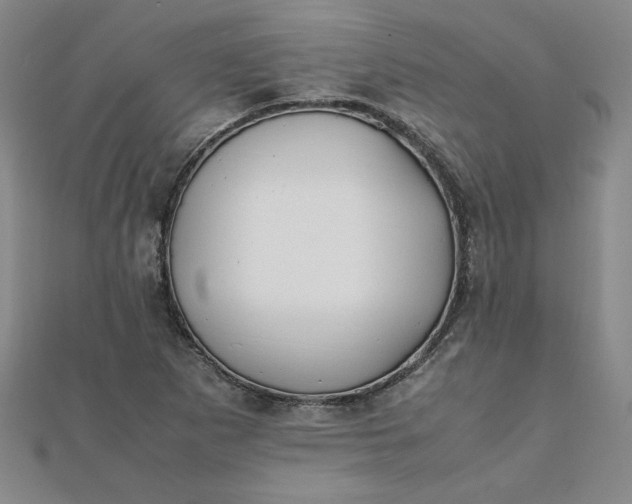 X0000111901265200908101133