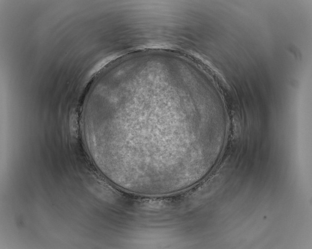 X0000111901266200908101133