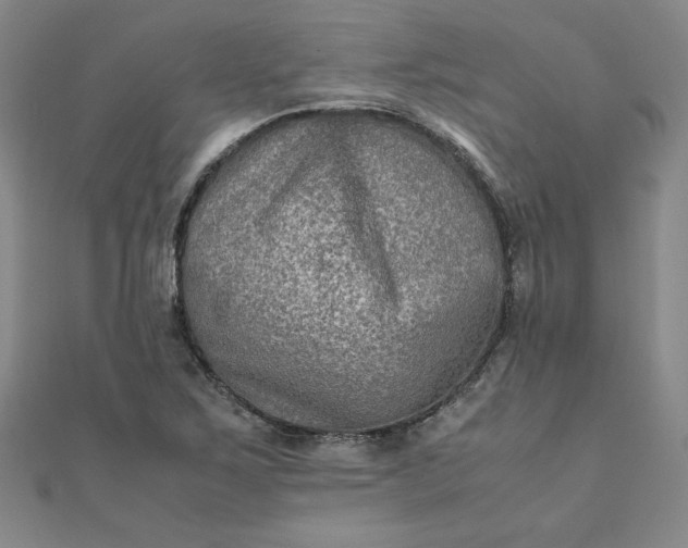 X0000111901267200908101133