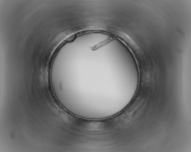 X0000111901268200908101133