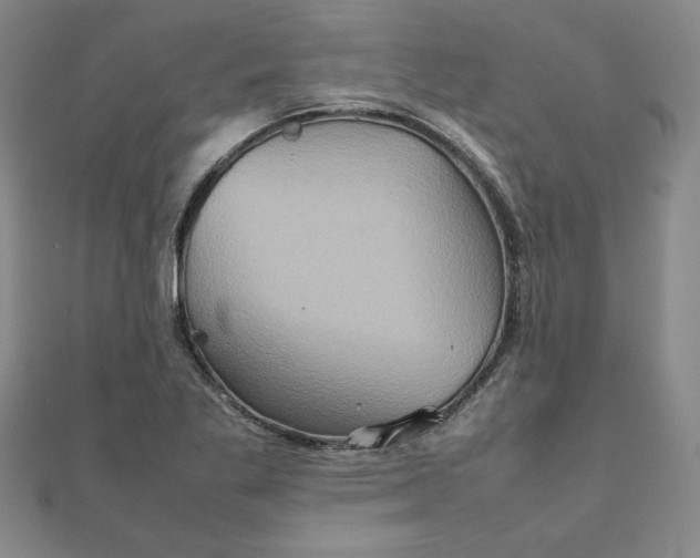 X0000111901269200908101133