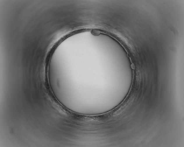 X0000111901270200908101133