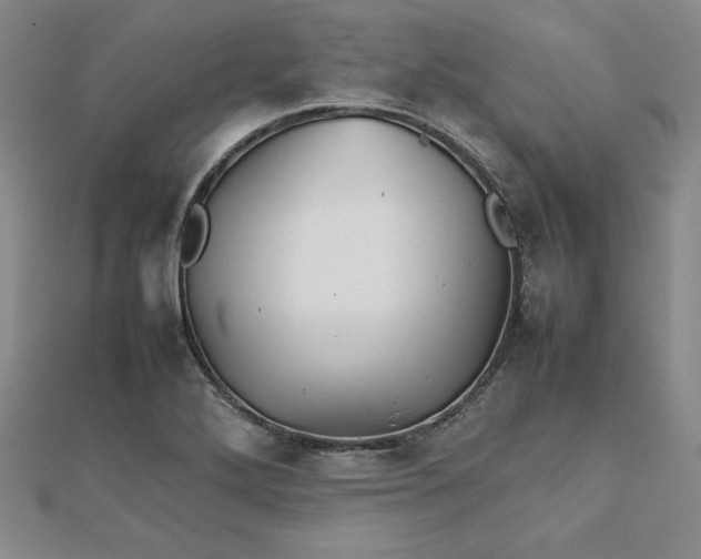 X0000111901272200908101133