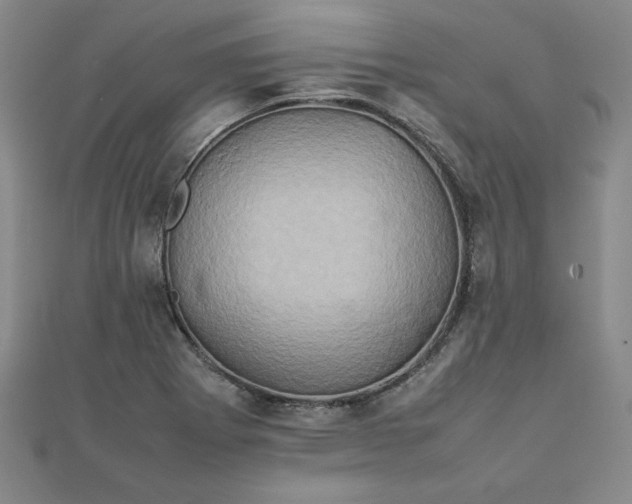 X0000111901273200908101133