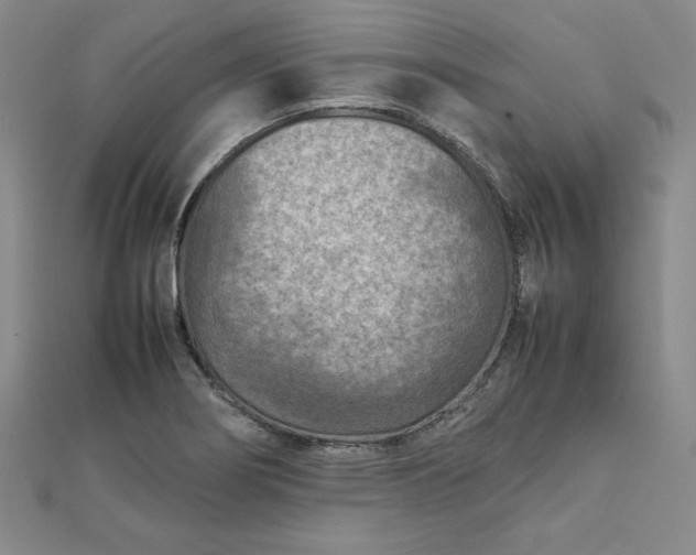 X0000111901274200908101133