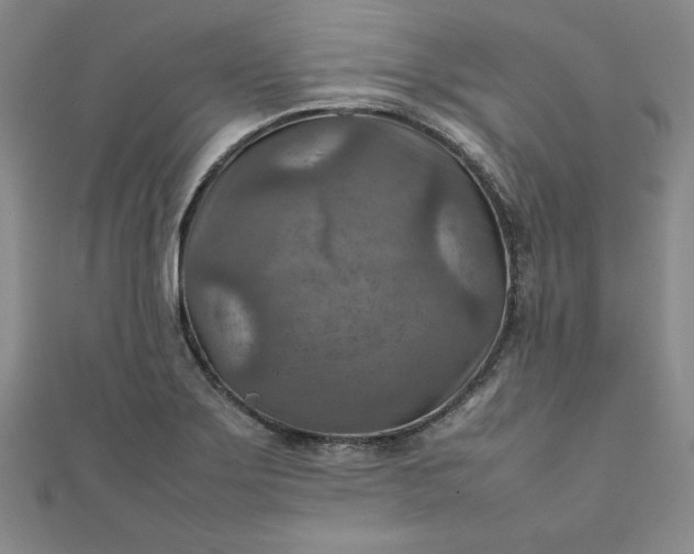 X0000111901275200908101133