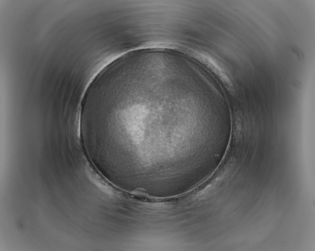 X0000111901276200908101133