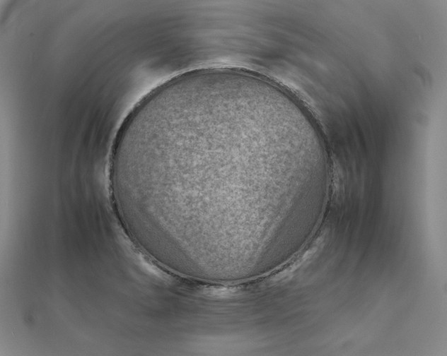 X0000111901278200908101133