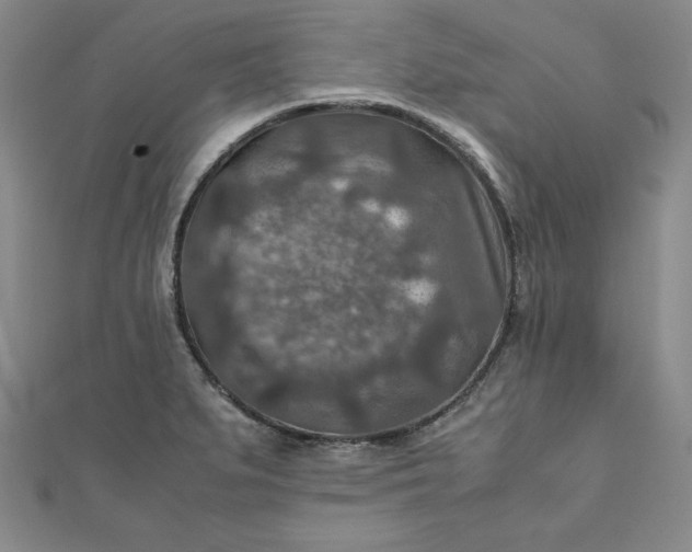 X0000111901279200908101133