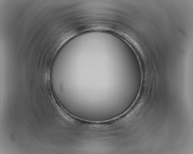 X0000111901281200908101133