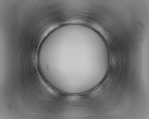 X0000111901282200908101133