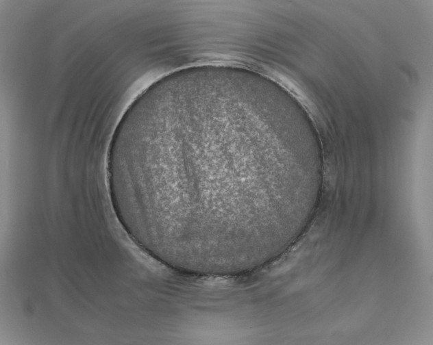 X0000111901283200908101133