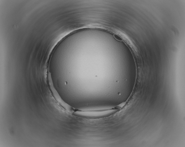 X0000111901284200908101133