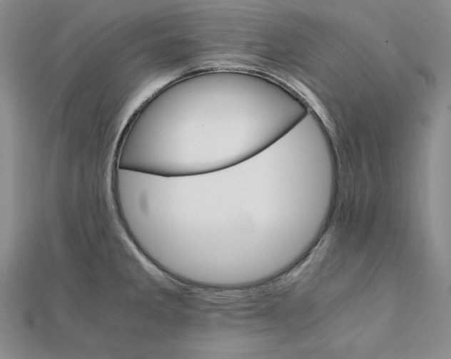 X0000111901285200908101133