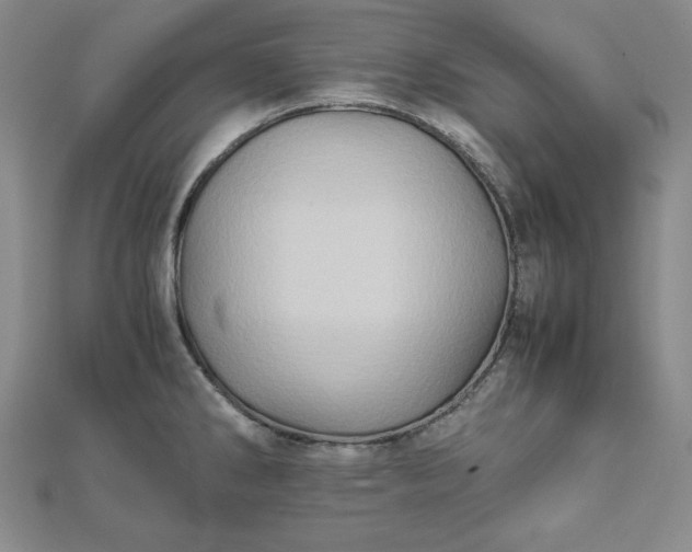 X0000111901286200908101133