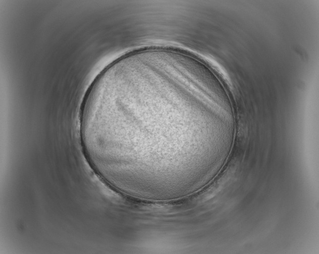 X0000111901287200908101133