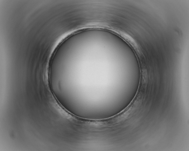 X0000111901288200908101133