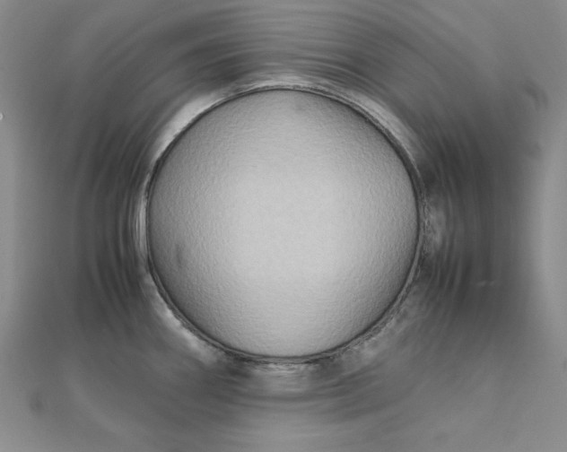 X0000111901290200908101133