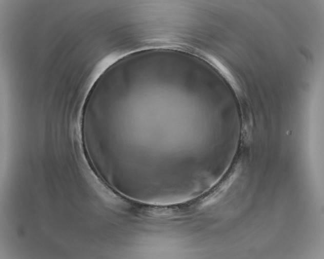 X0000111901291200908101132