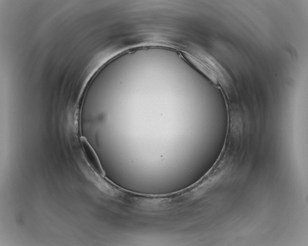 X0000111901292200908101132