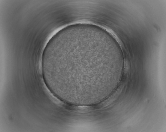 X0000111901295200908101132