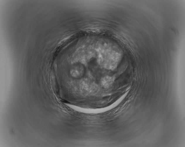 X0000111901297200908101132