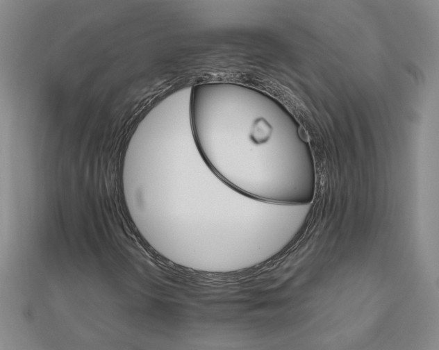 X0000111901298200908101132